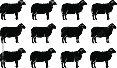 Set of black sheep silhouettes standing in profile view isolated on white background, farm animal icons for livestock and agricultural design