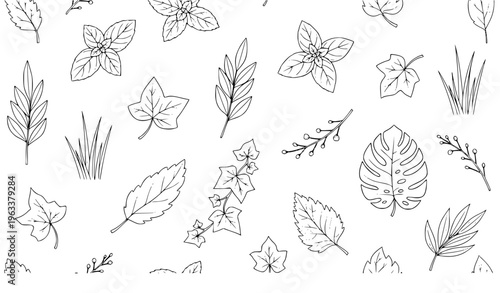 Hand Drawn Seamless Leaf Pattern Vector Black and White Thin Line Herb Botanical Icon Background