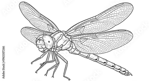 Detailed dragonfly insect with wings spread.
