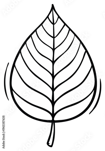 Simple line drawing of a stylized leaf with prominent veins and a slightly pointed tip