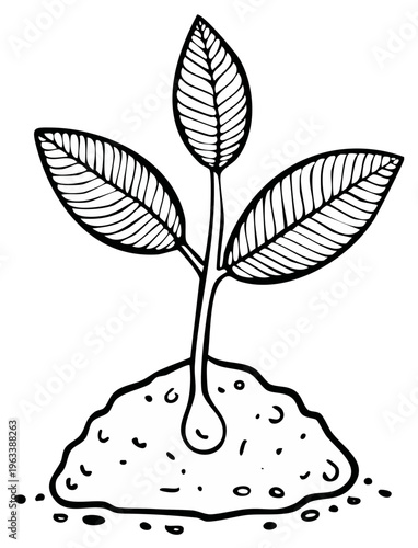 Black and white illustration of a young plant seedling growing from soil with detailed leaves