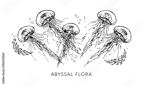 Vintage jellyfish illustration set, black and white marine life engraving with Abyssal Flora text, isolated ocean wildlife artwork on white