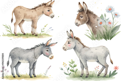 set of Watercolor Donkey Illustration, Farm Animal Clipart, isolated on white background