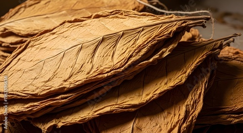 Tobacco leafs drying