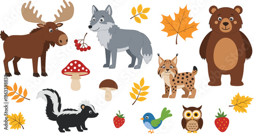 Forest animals set with bear wolf moose lynx owl skunk autumn leaves cartoon illustration collection