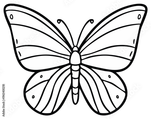 Elegant Butterfly Silhouette with Detailed Wing Patterns for Coloring and Design