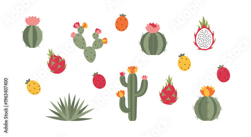 Various illustrated cacti and succulents with colorful flowers and fruits are scattered across a clean white background.