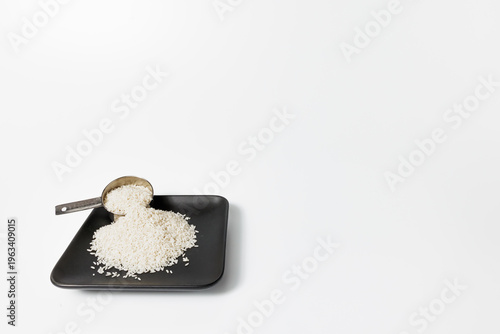 Rice plate 3