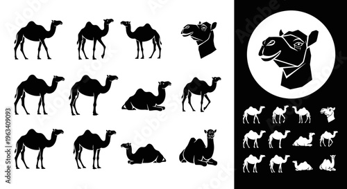 Camel Silhouette Icons Set in Various Poses
