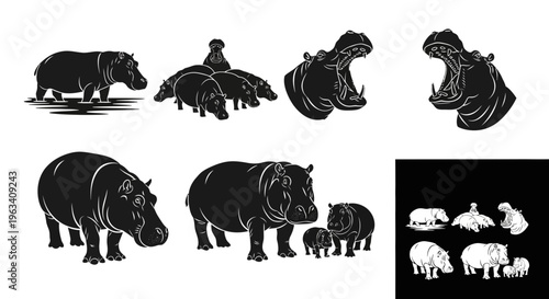 Set of Hippopotamus Silhouettes in Various Poses