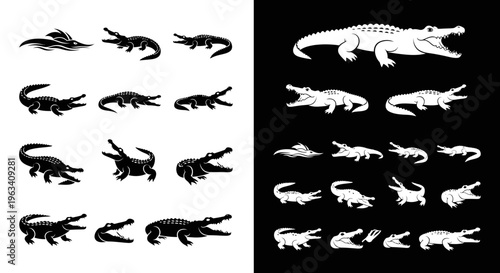 Set of Crocodile and Alligator Silhouettes in Black and White