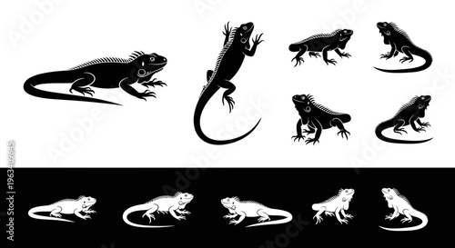Set of Iguana Silhouettes in Black and White