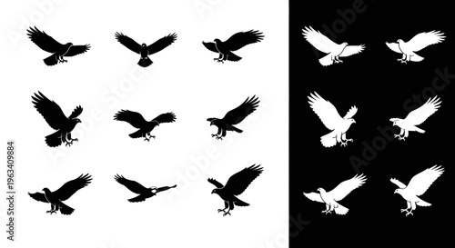 Set of Eagle Silhouettes in Various Flight Poses