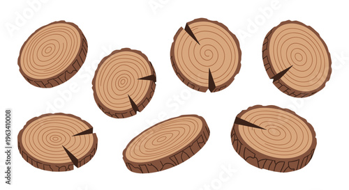 Seven distinct round wooden tree slices with concentric growth rings and radial cracks are scattered on a plain white background.