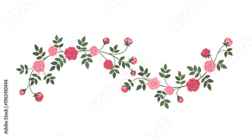 A long, curving vine adorned with numerous pink and red rose blossoms and green leaves gracefully extends across a clean white background.