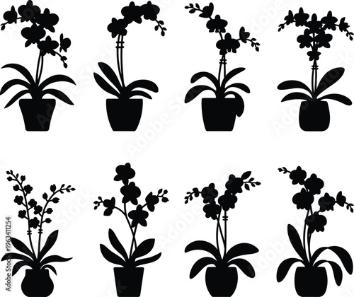 Black silhouette vector illustration set of various orchid flowers in pots isolated on a white background for interior decoration