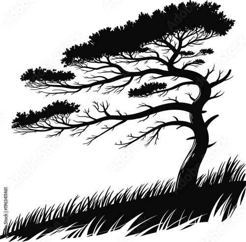 tree, pine, silhouette, nature, vector, windswept, landscape, outdoor, branch, grass, hill, isolated, coniferous, evergreen, plant