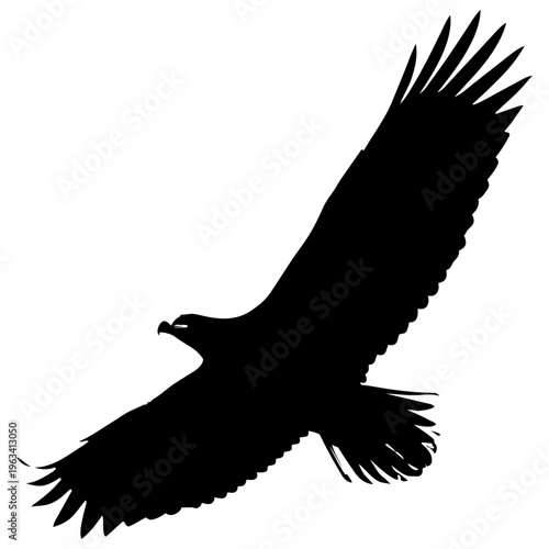 A large black bird of prey in flight isolated on transparent background, Vector