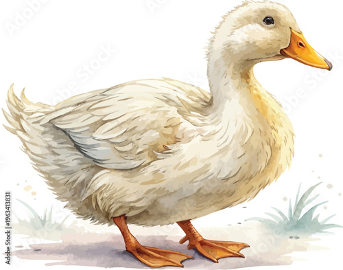Tableau sur toile Watercolor Duck Illustration, Farm Animal Clipart, isolated on white background