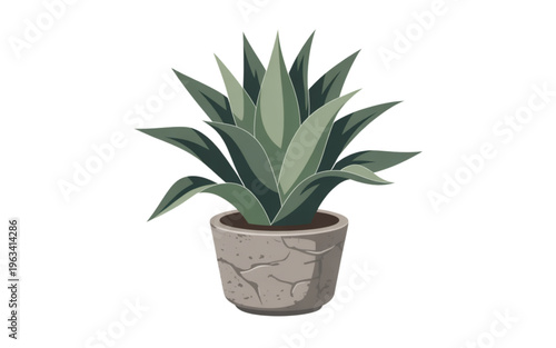 A potted agave plant with long, pointed leaves growing in a terracotta container isolated on transparent background