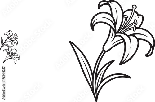 Elegant Lily Flower Line Art Set with Minimal Botanical Floral Outline Drawings for Luxury Wall Art ,Minimal Floral Outline Design