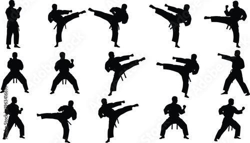 Silhouettes of martial artists performing high kicks, side kicks, and fighting stances showcasing dynamic motion, discipline, and training