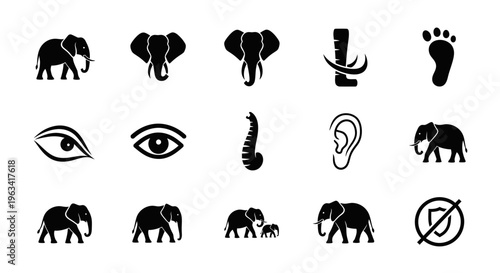 Set of Elephant Icons and Symbols