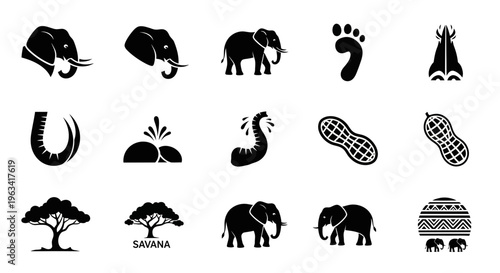 Set of Elephant and African Savanna Themed Vector Icons