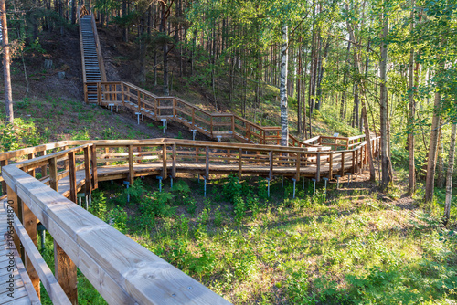 Elevated wooden walkway in the forest on summer day. Hiking wooden trail construction in nature.