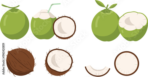 Green coconut collection with whole, opened and sliced tropical fruits, fresh coconut water illustration set isolated on white background for summer food design