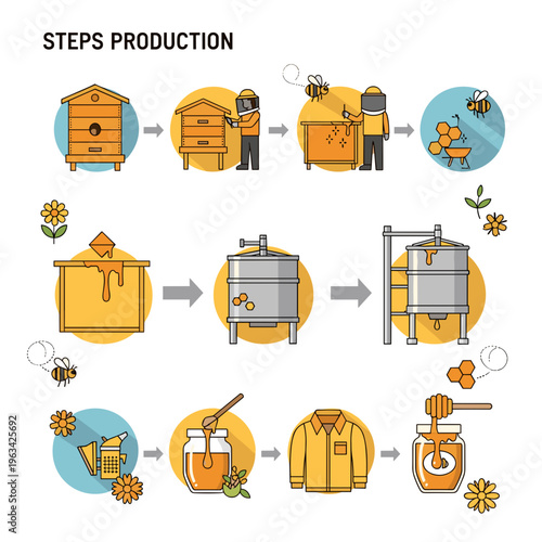 Infographic of honey production steps and process