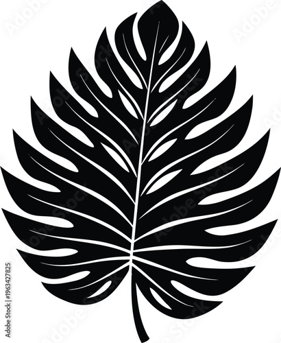 This elegant black and white vector illustration showcases a beautifully detailed tropical monstera leaf, perfect for modern graphic design projects and decorative use.