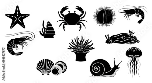 Black and white sea creatures silhouettes.