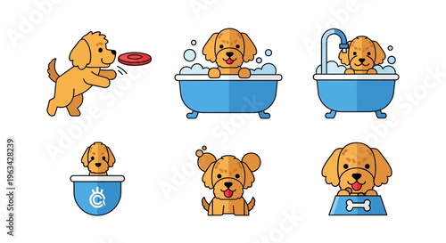 Golden Retriever Dog Bath Time Fun.