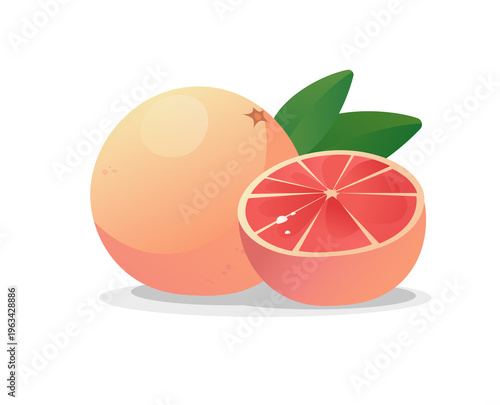 Grapefruit with lemon and lime vector illustration on white background