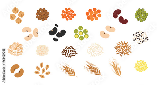 A diverse assortment of twenty-one distinct piles of legumes, grains, and seeds is neatly arranged across a clean white background.