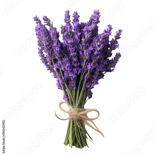 bunch of lavender