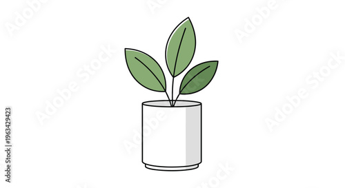 A simple potted plant with three green leaves sits in a white cylindrical pot against a clean white background.