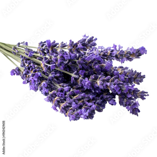 bunch of lavender on transparent background 