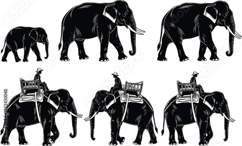 Black and white stylized illustration of elephants walking with calf and adult tusked figures, plus domesticated elephants carrying riders with saddles, representing wildlife, culture, and traditional