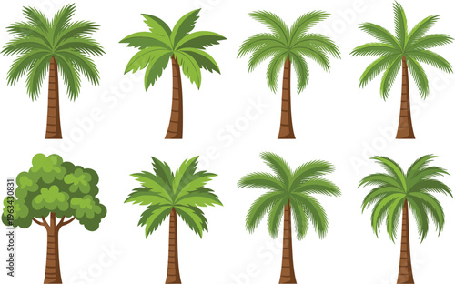 Collection of tropical palm tree vector illustrations with green fronds and brown trunks isolated on white background for summer vacation and travel design projects.