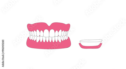 A full set of dentures and a separate lower arch are displayed on a plain white background.
