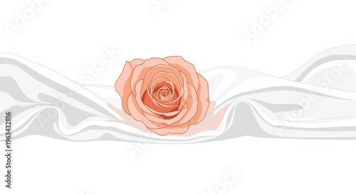 A single, vibrant peach-colored rose with tightly packed petals is centrally placed on gracefully undulating white silk fabric against a white background.