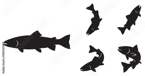 Collection of black silhouette illustrations of salmon fish in various dynamic swimming poses against a white background.