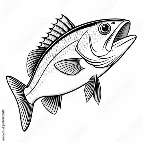 Detailed Fish Line Art Illustration