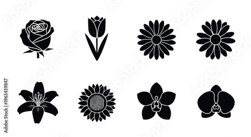 Black and white floral silhouettes of various blooming flowers arranged neatly