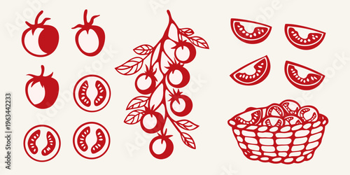 Stylized red tomatoes on a vine and in a basket illustration