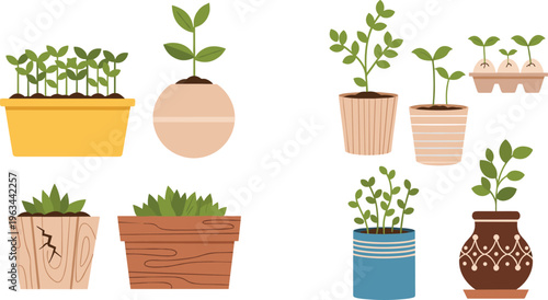 Potted plants and seedlings vector set with indoor greenery, houseplants and decorative pots in flat illustration style