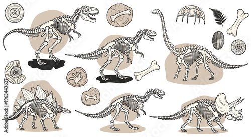 Collection of Dinosaur Skeletons and Fossils in Sketch Style