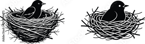 Bird sitting in nest illustration, representing nature, wildlife, and new beginnings or home.